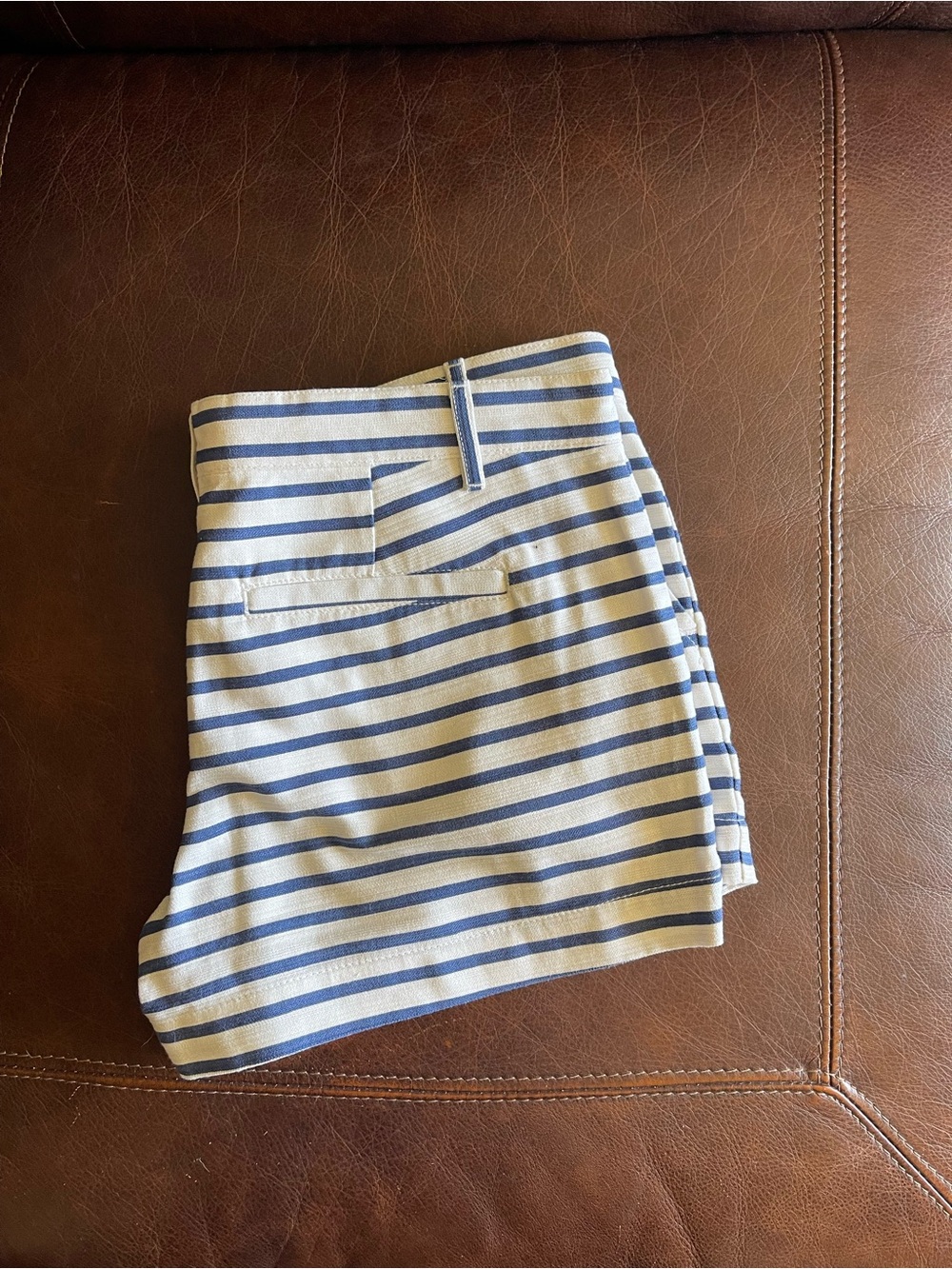 GAP Women’s Blue and Cream Striped Cargo Shorts